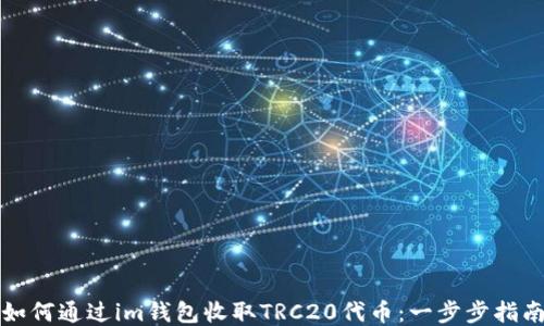 
如何通過im錢包收取TRC20代幣：一步步指南