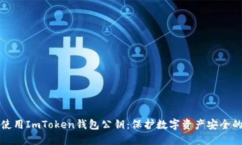 如何安全使用ImToken錢包公鑰：保護(hù)數(shù)字資產(chǎn)安全的終極指南